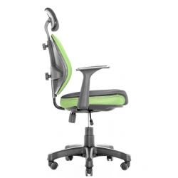 Ортопедическое кресло Synif Duo Gini SY-1033 GN