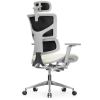 Кресло Falto Leather Premium SL (динамичный поясничный упор, натуральная кожа, каркас серый, белый)