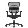 Кресло Falto Ergohuman 2 Project (без подголовника, автоматическая жесткость качания, сетка, черный)