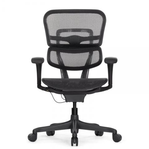 Кресло Falto Ergohuman 2 Project (без подголовника, автоматическая жесткость качания, сетка, черный)