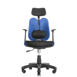 Ортопедическое кресло Synif Duo Gini SY-1033 BL