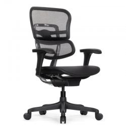 Кресло Falto Ergohuman 2 Project (без подголовника, автоматическая жесткость качания, сетка, черный)