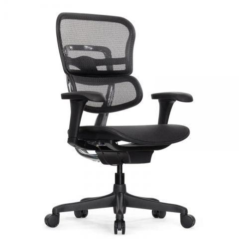Кресло Falto Ergohuman 2 Project (без подголовника, автоматическая жесткость качания, сетка, черный)
