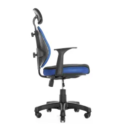 Ортопедическое кресло Synif Duo Gini SY-1033 BL