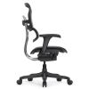 Кресло Falto Ergohuman 2 Project (без подголовника, автоматическая жесткость качания, сетка, черный)