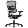 Кресло Falto Ergohuman 2 Project (без подголовника, автоматическая жесткость качания, сетка, черный)