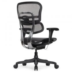 Кресло Falto Ergohuman 2 Project (без подголовника, автоматическая жесткость качания, сетка, черный)