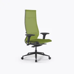 Кресло SynchroSit 10 B1-107D - T /Km00/Nb00/D02P(M23.B11.G19.W02), Лайм