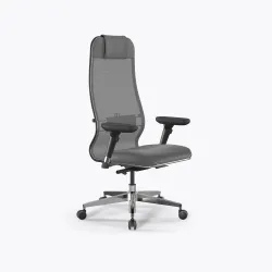 Кресло SynchroSit 10 L1-115D - X2+Extra /Um00/Wm12/D13P(M24.B22.G18.W03), Серый