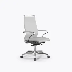 Кресло SynchroSit Well B2-195K - Infinity /Ach246/Nc200/K15cL(M24.B22.G18.W03), Белый