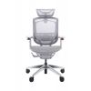 Премиум эргономичное кресло GT Chair Marrit Pro X, серый