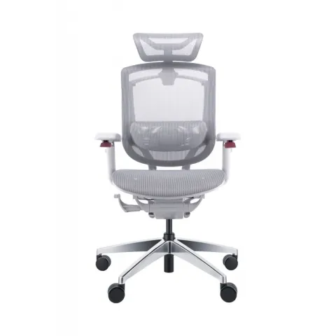 Премиум эргономичное кресло GT Chair Marrit Pro X, серый