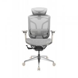 Премиум эргономичное кресло GT Chair Dvary Pro X, серый
