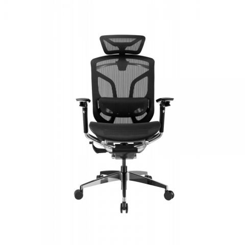 Премиум эргономичное кресло GT Chair Dvary Pro X, чёрный