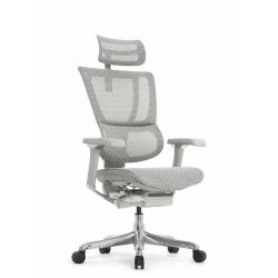 Кресло Falto IOO 2 Pro  (серый каркас/сетка свет.T-168-B2, крестовина металл)