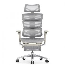 Компьютерное кресло Falto Evolution (серый каркас, сетка белая, подножка встроенная)