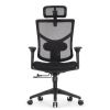 Кресло FALTO STAR OFFICE ERGO 3 (3D поясничный упор,3D подлокотни 5D подголов, сетка, ткань, черный)