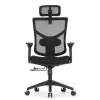 Кресло FALTO STAR OFFICE ERGO 3 (3D поясничный упор,3D подлокотни 5D подголов, сетка, ткань, черный)
