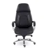 Кресло EPIK A-181-G L169 (черный)