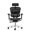 Кресло Falto Ergohuman Luxury 2 (чёрный каркас/сетка чёрный T-168-B1 Black)