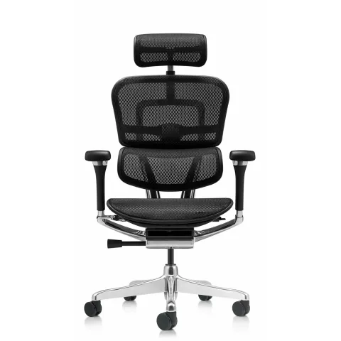 Кресло Falto Ergohuman Luxury 2 (чёрный каркас/сетка чёрный T-168-B1 Black)