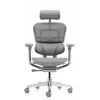 Кресло Falto Ergohuman Luxury 2 (серый каркас/сетка светлаяT-168-B2 Natural)