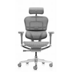 Кресло Falto Ergohuman Luxury 2 (серый каркас/сетка светлаяT-168-B2 Natural)