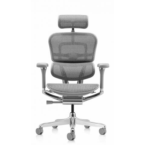 Кресло Falto Ergohuman Luxury 2 (серый каркас/сетка светлаяT-168-B2 Natural)