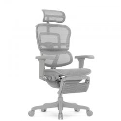 Кресло Falto Ergohuman Ultra с подножкой (серый каркас/сетка светлаяT-168-B2 Natural)