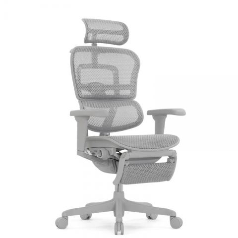 Кресло Falto Ergohuman Ultra с подножкой (серый каркас/сетка светлаяT-168-B2 Natural)