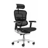 Кресло Falto Ergohuman Luxury 2 (чёрный каркас/сетка чёрный T-168-B1 Black)