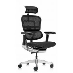 Кресло Falto Ergohuman Luxury 2 (чёрный каркас/сетка чёрный T-168-B1 Black)