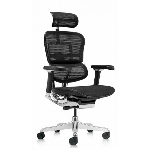 Кресло Falto Ergohuman Luxury 2 (чёрный каркас/сетка чёрный T-168-B1 Black)