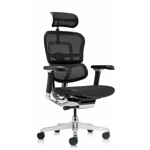 Кресло Falto Ergohuman Luxury 2 (чёрный каркас/сетка чёрный T-168-B1 Black)