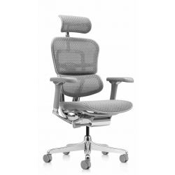 Кресло Falto Ergohuman Luxury 2 (серый каркас/сетка светлаяT-168-B2 Natural)