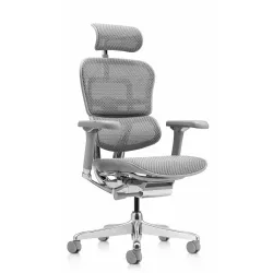 Кресло Falto Ergohuman Luxury 2 (серый каркас/сетка светлаяT-168-B2 Natural)