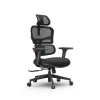 Эргономичное компьютерное кресло FoxGear NETZ модель X - office edition