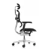 Кресло Falto Ergohuman Luxury 2 (чёрный каркас/сетка чёрный T-168-B1 Black)