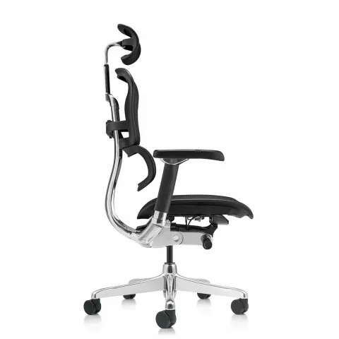 Кресло Falto Ergohuman Luxury 2 (чёрный каркас/сетка чёрный T-168-B1 Black)