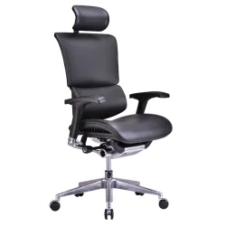 Кресло Falto Leather Premium SL (динамичный поясничный упор, натуральная кожа, черный)