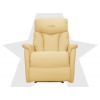 Кресло-реклайнер электрический FUJIMO DREAM EW Песочный