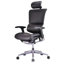 Кресло Falto Leather Premium SL (динамичный поясничный упор, натуральная кожа, черный)