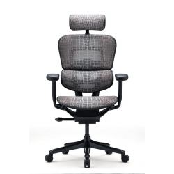 Кресло Falto Ergohuman Special Edition EVEREST  (чёрный каркас/сетка тёмный)