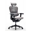 Кресло Falto Ergohuman Special Edition EVEREST  (чёрный каркас/сетка тёмный)