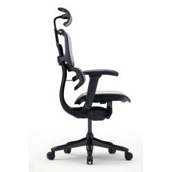 Кресло Falto Ergohuman Special Edition EVEREST  (чёрный каркас/сетка тёмный)