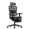 Кресло Falto Ergohuman Ultra с подножкой (чёрный каркас/сетка чёрный T-168-B1 Black)