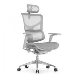 Кресло Falto Sail 2 (динамичный поясничный упор, подлокотникии 6D(360), сетка, каркас серый, белый)