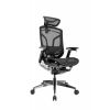 Премиум эргономичное кресло GT Chair Dvary Pro X, чёрный