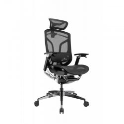 Премиум эргономичное кресло GT Chair Dvary Pro X, чёрный