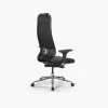 Кресло SynchroSit 10 B1-115D - X2+Extra /Um00/Wm12/D02P(M23.B23.G18.W02), Черный